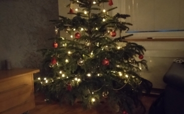 VÁNOČNÍ DÍLNY