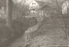 vyhledáno: vodné