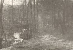 vyhledáno: vodné