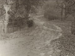 vyhledáno: vodné