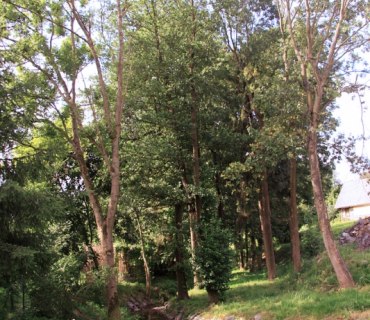 Galerie obce Dubenec, foto 2012