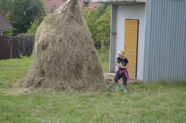 Pohádkový les 2015
